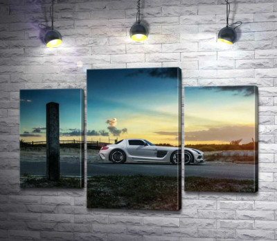 Модульная картина "Mercedes-Benz SLS AMG на полевой дороге"