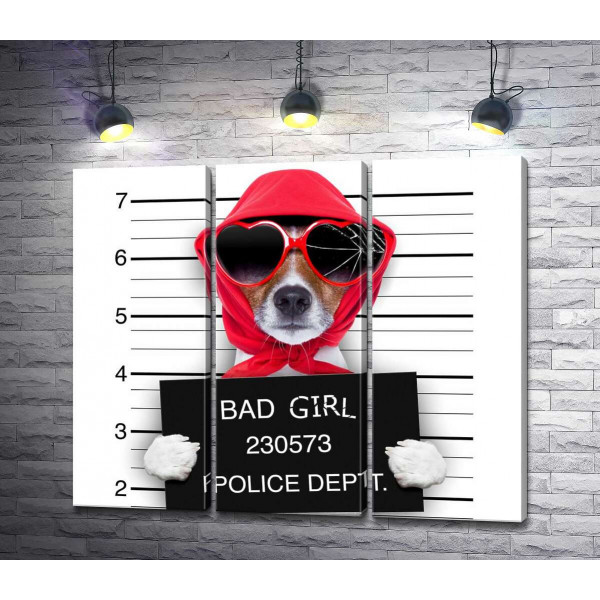 Кокетлива собака в хусточці та окулярах - "Bad girl"