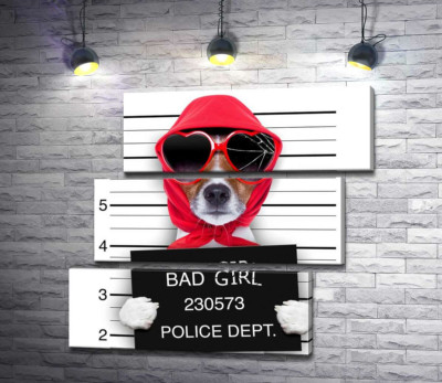 Модульная картина "Кокетливая собака в платочке и очках - "Bad girl""