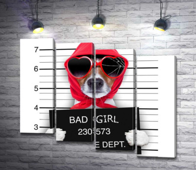 Модульна картина "Кокетлива собака в хусточці та окулярах - "Bad girl""