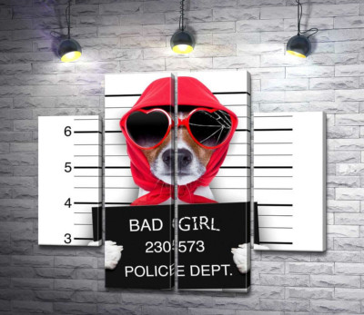 Кокетлива собака в хусточці та окулярах - "Bad girl"