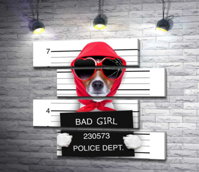 Кокетлива собака в хусточці та окулярах - "Bad girl"