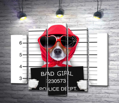 Кокетливая собака в платочке и очках - "Bad girl"