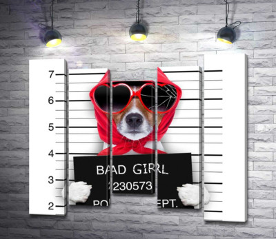 Кокетлива собака в хусточці та окулярах - "Bad girl"