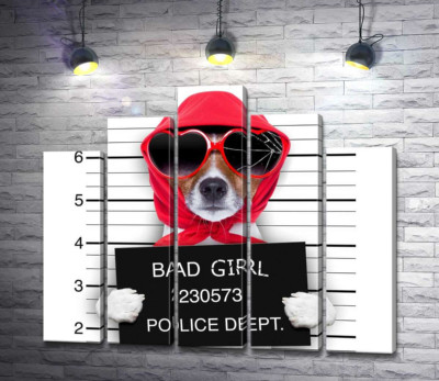 Кокетлива собака в хусточці та окулярах - "Bad girl"