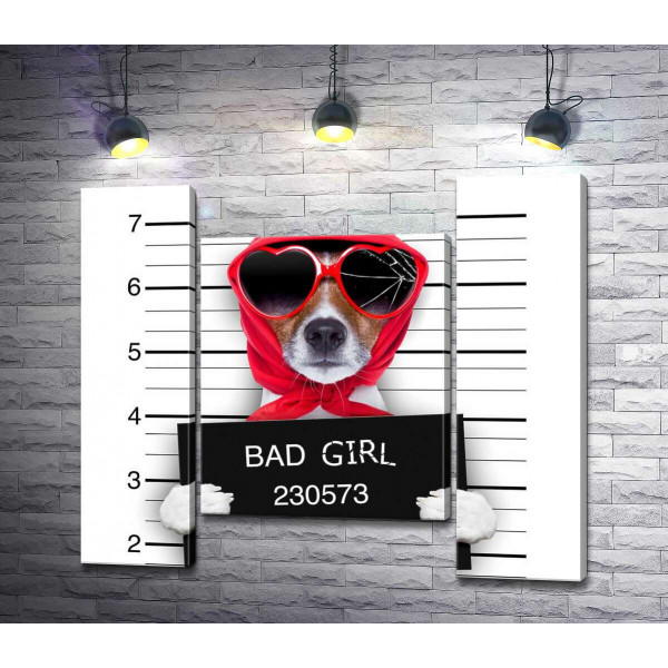Кокетливая собака в платочке и очках - "Bad girl"