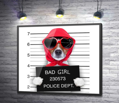 Постер "Кокетлива собака в хусточці та окулярах - "Bad girl""