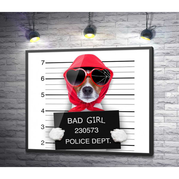 Кокетлива собака в хусточці та окулярах - "Bad girl"