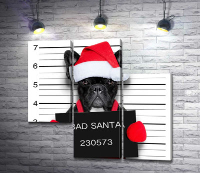 Праздничный черный бульдог – "Bad Santa"