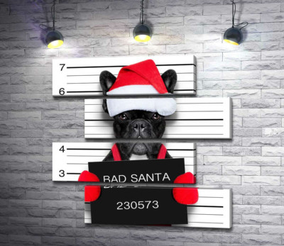 Модульная картина "Праздничный черный бульдог – "Bad Santa""