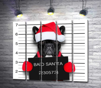 Праздничный черный бульдог – "Bad Santa"