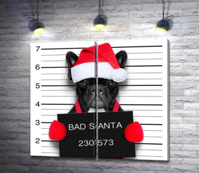 Святковий чорний бульдог - "Bad Santa"