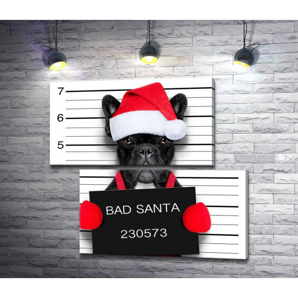 Праздничный черный бульдог – "Bad Santa"