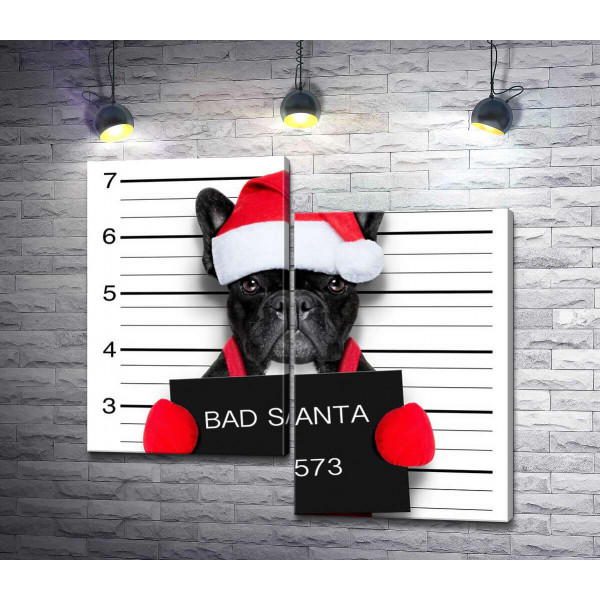 Праздничный черный бульдог – "Bad Santa"