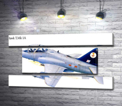 Модульна картина "Британський легкий штурмовик Hawker Siddeley Hawk 1А"