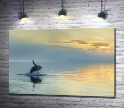 Кит выпрыгивает из воды