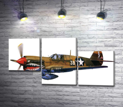 Модульная картина "Американский истребитель Curtiss P-40 Warhawk времен Второй мировой войны"