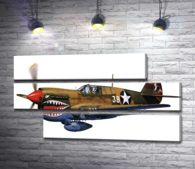 Модульна картина "Американський винищувач Curtiss P-40 Warhawk часів Другої світової війни"