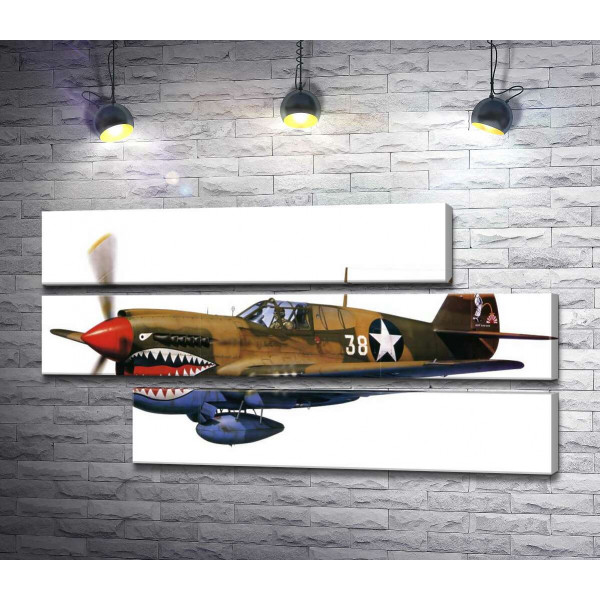 Американский истребитель Curtiss P-40 Warhawk времен Второй мировой войны