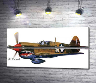 Модульная картина "Американский истребитель Curtiss P-40 Warhawk времен Второй мировой войны"