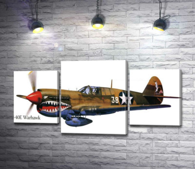 Модульная картина "Американский истребитель Curtiss P-40 Warhawk времен Второй мировой войны"
