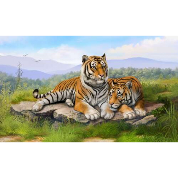 Пара тигрів відпочиває на камені серед трави