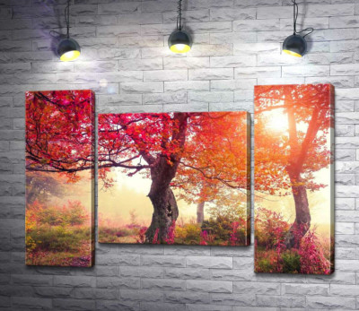 Модульна картина "Сонячне світло підкреслює червоне полум'я листя на деревах"