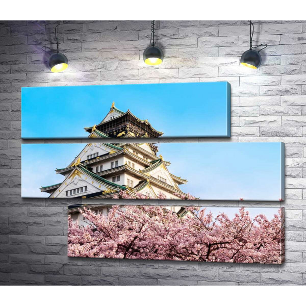Японський замок Осака (Osaka) в обіймах квітучих сакур
