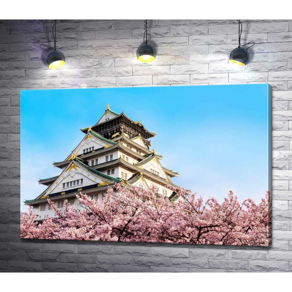 Японський замок Осака (Osaka) в обіймах квітучих сакур