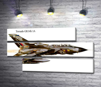 Модульна картина "Британський літак-розвідник Panavia Tornado GR1A"