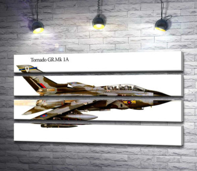 Модульна картина "Британський літак-розвідник Panavia Tornado GR1A"