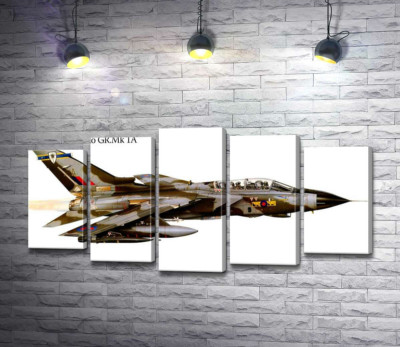 Модульна картина "Британський літак-розвідник Panavia Tornado GR1A"