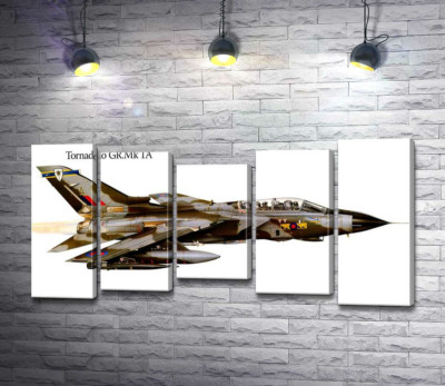 Модульная картина "Британский самолет-разведчик Panavia Tornado GR1A"