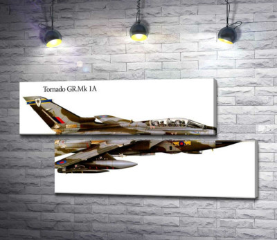 Модульна картина "Британський літак-розвідник Panavia Tornado GR1A"