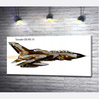 Британський літак-розвідник Panavia Tornado GR1A