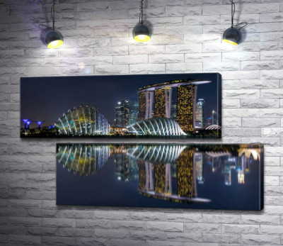 Ночной вид на сады возле Залива (Gardens by the Bay) в Сингапуре