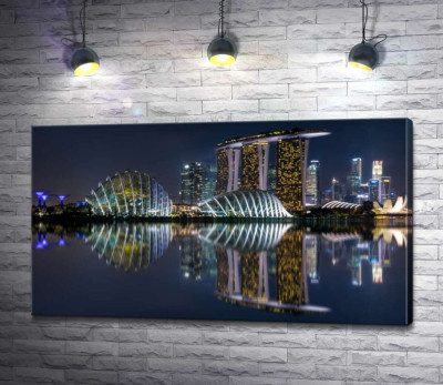 Ночной вид на сады возле Залива (Gardens by the Bay) в Сингапуре