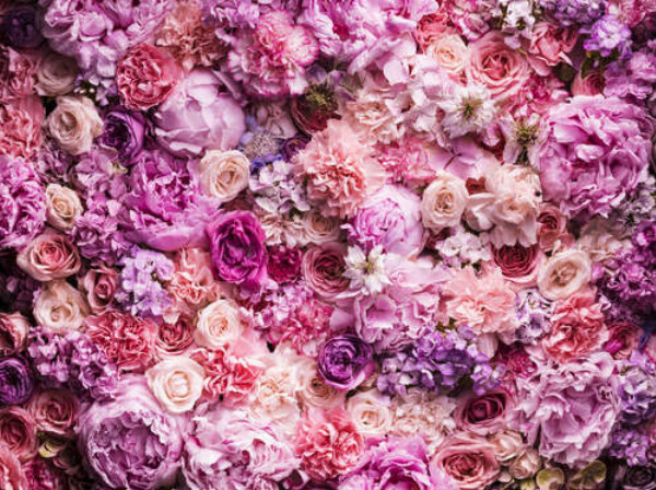 Рожевий килим з різноманіття квітів