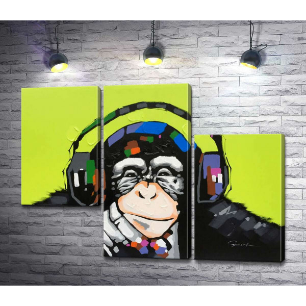 Мавпа з кольоровими навушниками
