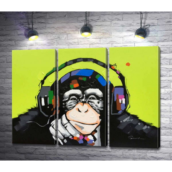 Мавпа з кольоровими навушниками