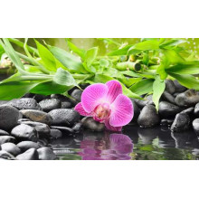 Релакс біля води з кам'янистим берегом, орхідеєю та бамбуком