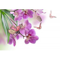 Сиреневые орхидеи в окружении ажурных силуэтов бабочек
