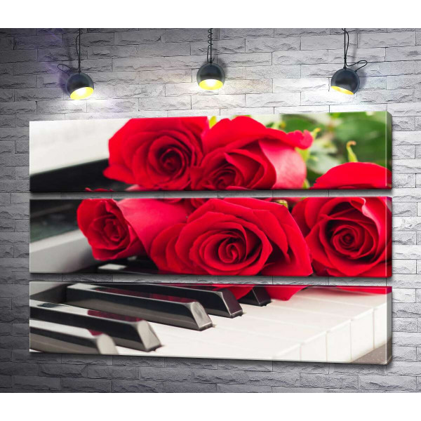 Ніжні пелюстки троянд торкаються мелодійних клавіш білого фортепіано