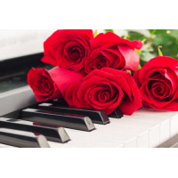 Нежные лепестки роз касаются мелодичных клавиш белого фортепиано