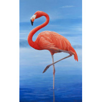 Рожевий фламінго стоїть на одній нозі у блакитній воді 