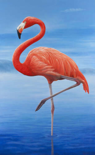 Розовый фламинго стоит на одной ноге в голубой воде