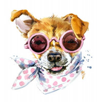 Собака в очках и с модным платком на шее