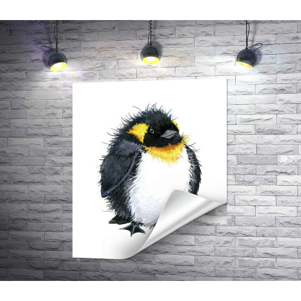 Товстенький пінгвін із жовтою шиєю