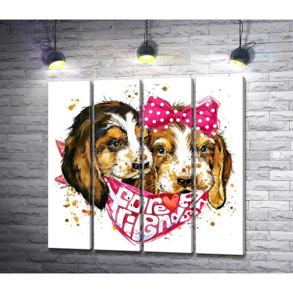 Два пушистых щенка в платке с надписью "forever friends"