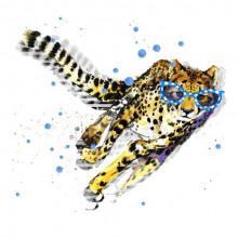 Плямистий гепард в синіх окулярах набирає швидкість